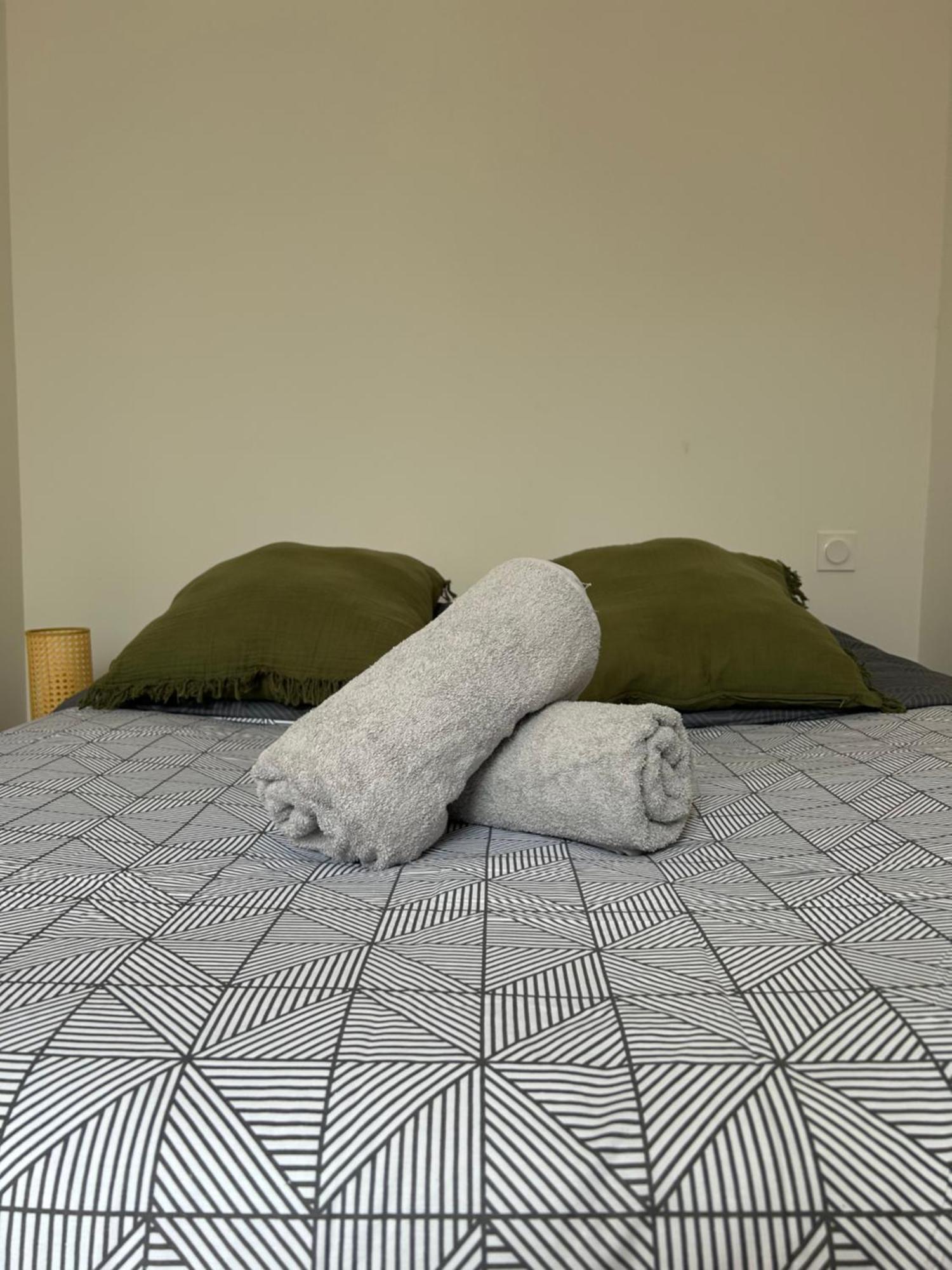 Le Toulousain 101 - Appartement Calme En Hypercentre - Quartier Jeanne D'Arc Toulouse Luaran gambar